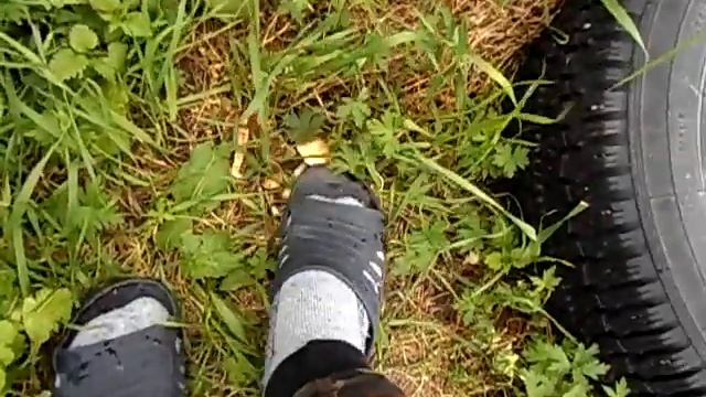 Что стало с грибами в цветнике смотреть онлайн