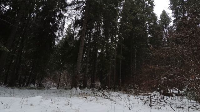 Уезжаю в 2020