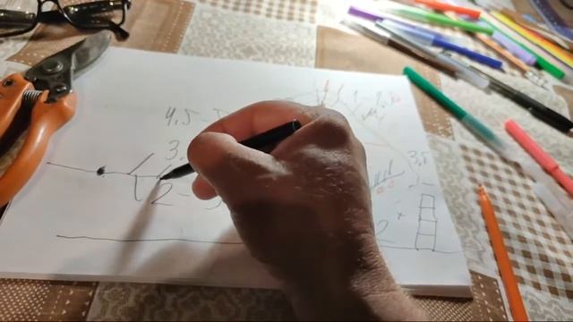 свободно растущая пальмета для частных садов смотреть онлайн