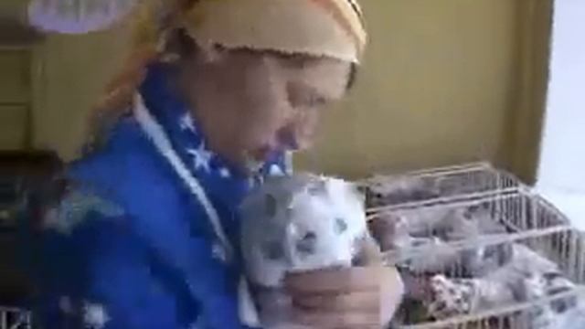 Женщина из Курска родила сразу 10 детей !!! !-D.avi смотреть онлайн