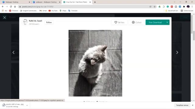 How to Make Aesthetic Wallpaper Organizer using Canva Tutorial I Canva + Rainmeter смотреть онлайн