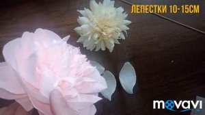 Мастер класс, пион из гофрированной бумаги.
