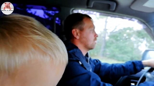 Миллион на свиньях.Утепляем стены в сарае.Готовимся к зиме. смотреть онлайн