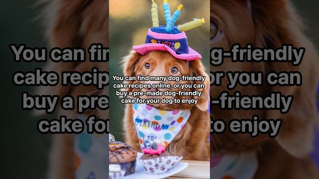 How to Celebrate Your Dog's Birthday or Gotcha Day смотреть онлайн