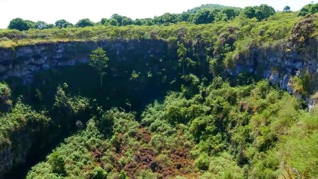 Галапагосы: На краю земли - Часть 1. Выживание - Документальный фильм смотреть онлайн