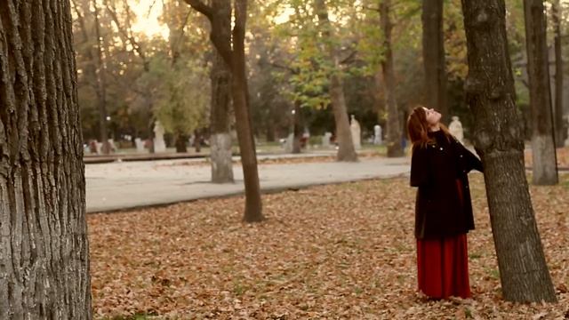 Видеопоэзия. Стихи об осени. смотреть онлайн