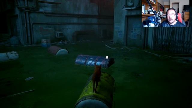Stray: The Purrfect Cat Game! смотреть онлайн