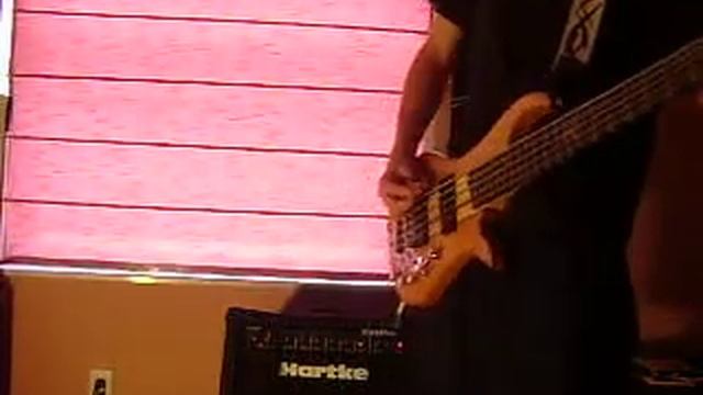 Tool Vicarious bass cover смотреть онлайн