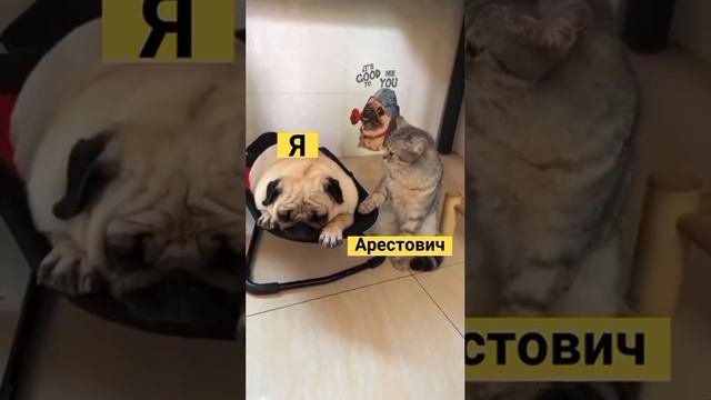 отдых умарившихся ? смотреть онлайн