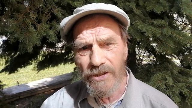 "МОРДОВВИДЕНИЕ" : 83-летний ветеран-педагог Дмитрий Чернояров из Мельцан, песня "Тонкая рябина" смотреть онлайн