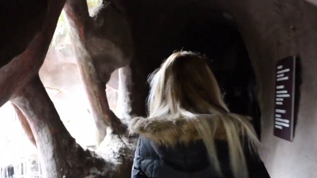 Prague ZOO Indonesian Jungle смотреть онлайн