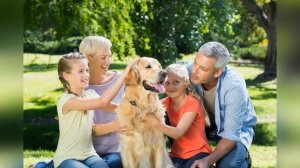 Семья — это самое главное в жизни человека.