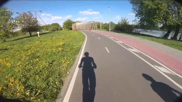 Суета на Segway Ninebot P100S