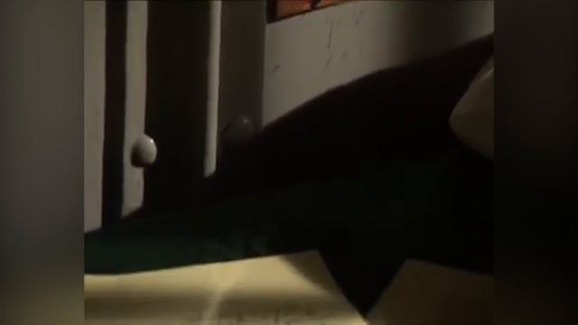 Aileen Wuornos Part 2 - The Killing Begins смотреть онлайн