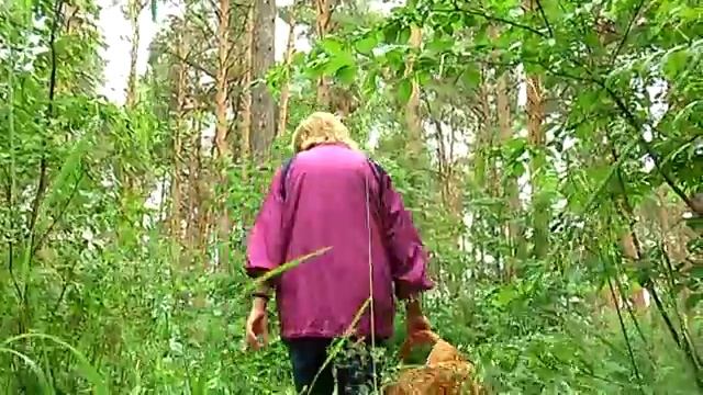 Сюжет Грибы смотреть онлайн
