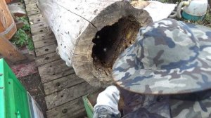 Счастье есть КОЛОДНЫЙ МЕД