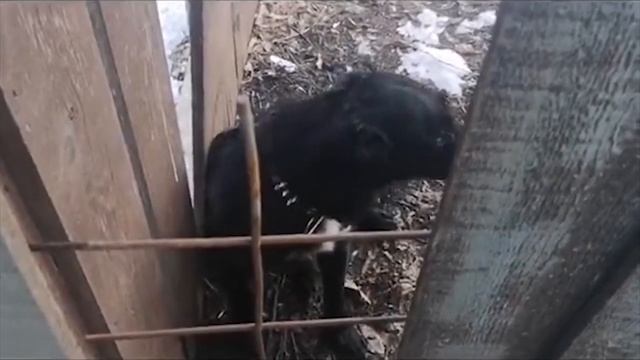 7 минут приколов смотреть онлайн