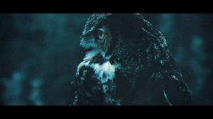 Ummet_Ozcan_- викинг