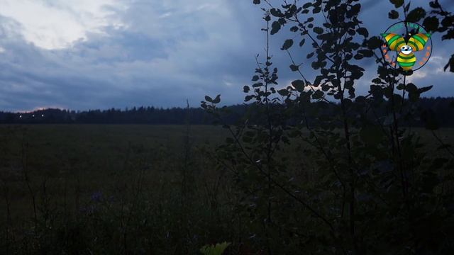 Закат в деревне Бережки. Земля наша! ? смотреть онлайн