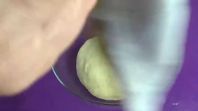 Зоопарк и Дикие Животные