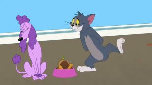 Шоу Тома и Джерри Новая подруга Тома  I The Tom and Jerry Show   Tom's New Girlfriend