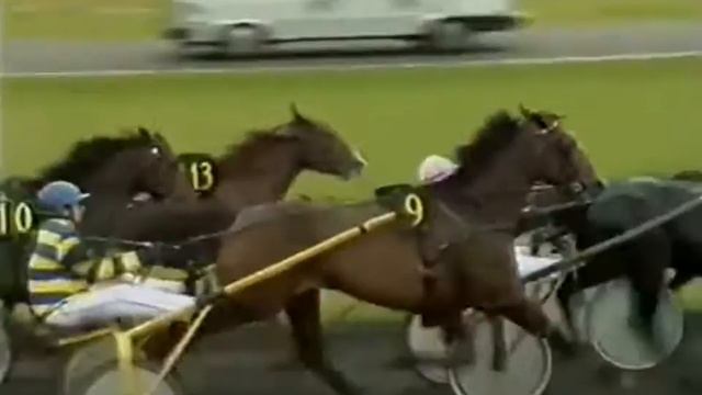 16/02/1995 Prix de Nevers Gr III BASSANO смотреть онлайн