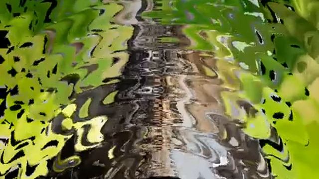 Корм для кошек прохвост отзывы смотреть онлайн