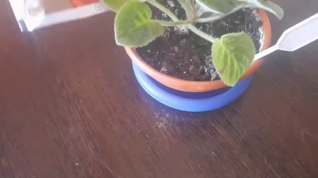 Строительные Штрихи