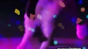 Вечеринка котов!! (10 часов)