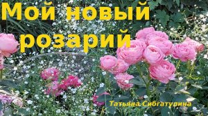 Молодой розарий совсем бесплатно