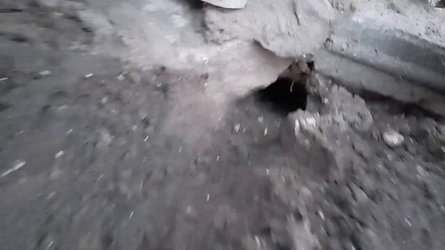 Курица вывела цыплят зимой одна без присмотра. Какой результат? смотреть онлайн