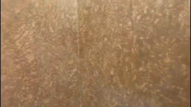 Обзор ремонта 2х комнатной квартиры на Приморском проспекте смотреть онлайн