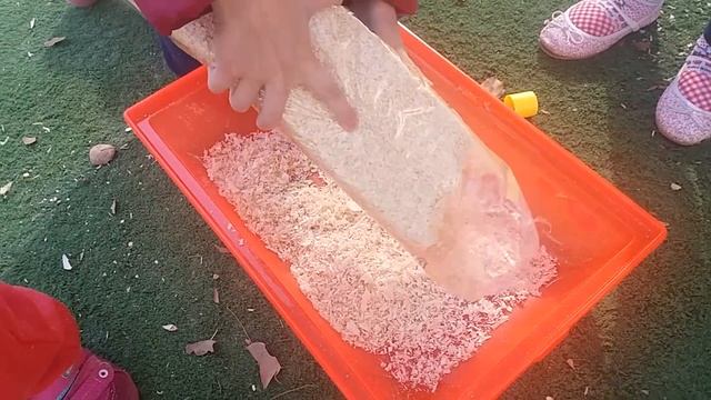 ДЕТИ ИГРАЮТ С ХОМОЙ НА ДЕТСКОЙ ПЛОЩАДКЕ | УБОРКА В КЛЕТКЕ | ДЖУНГАРСКИЙ ХОМЯК?ПЕРВАЯ ПРОГУЛКА ХОМЯК смотреть онлайн