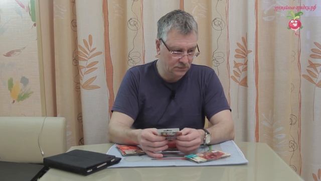 Какие томаты сажать в теплицу? #1 urozhainye_gryadki смотреть онлайн