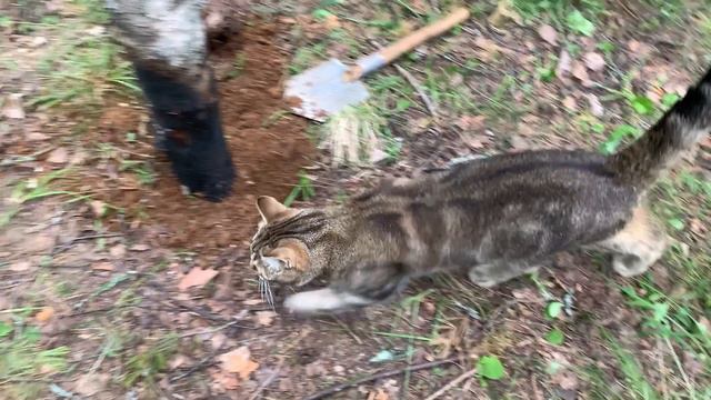 Новое убежище. Часть 1