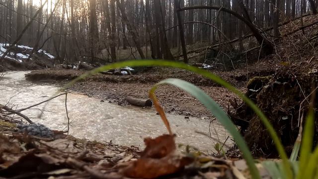 Река Чертановка на излучине смотреть онлайн