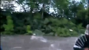 Бешенный Азиатский карп сам прыгает в лодку