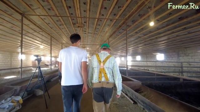 Постоянный покупатель добавок АСКОР дает интервью об откорме КРС в фермерскому порталу FERMER.RU смотреть онлайн