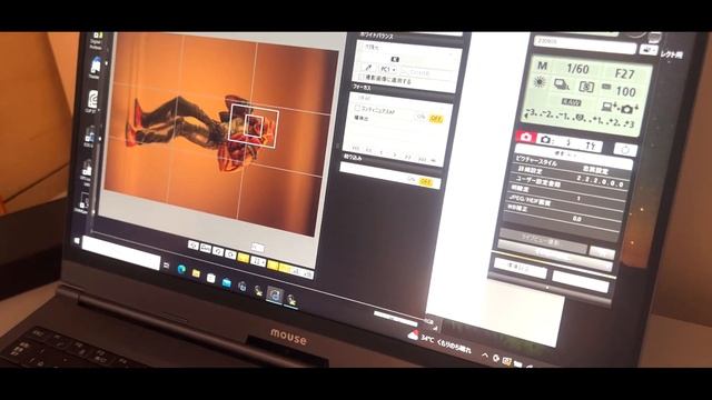 ドット絵風に塗ったテリーのビフォーアフター写真をガチで撮りに行きました。