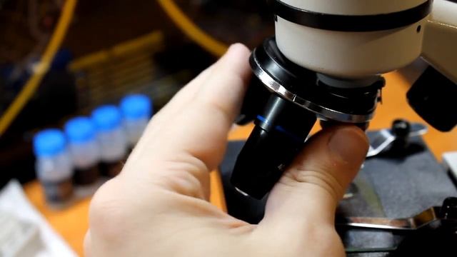 Лучший подарок ребенку! Микроскоп Levenhuk Rainbow 2L и 2L PLUS! Обзор школьных microscopes! смотреть онлайн