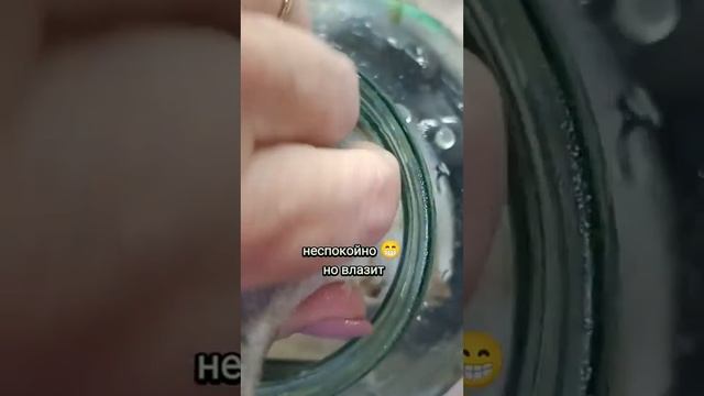 Вкусные блюда на любой вкус 