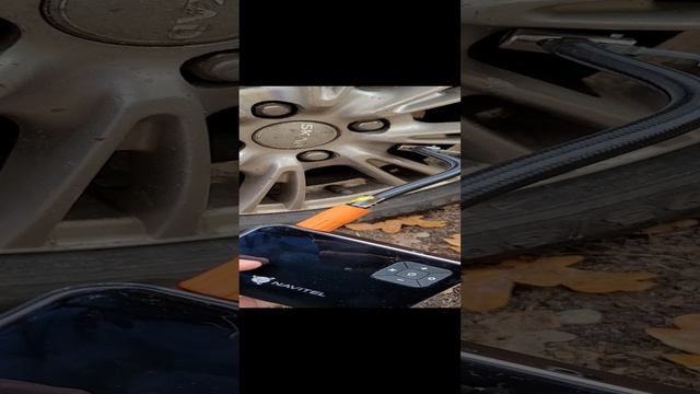 Ну и гад же ты) смотреть онлайн