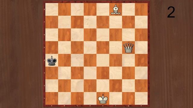 Шахматные задачи мат в 3 хода. Выпуск №9. Шахматы задачи. Мат в три хода - решение задач. смотреть онлайн