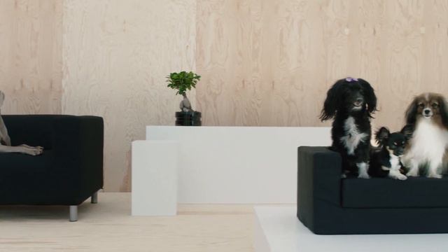 New collection LURVIG / KLIPPAN SOFA смотреть онлайн