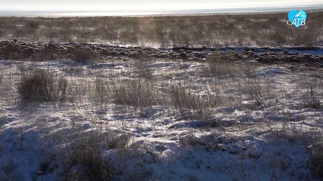 Заповедник (09.02.2024) смотреть онлайн