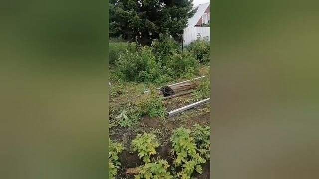 установка забора версия 2 смотреть онлайн