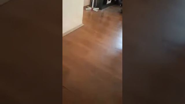 Алиса Играет в мячик😄😄😄😂😂😂 смотреть онлайн