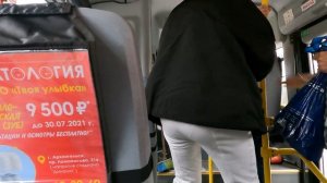 Архангельск. поездка на автобусе ПАЗ вектор некст.