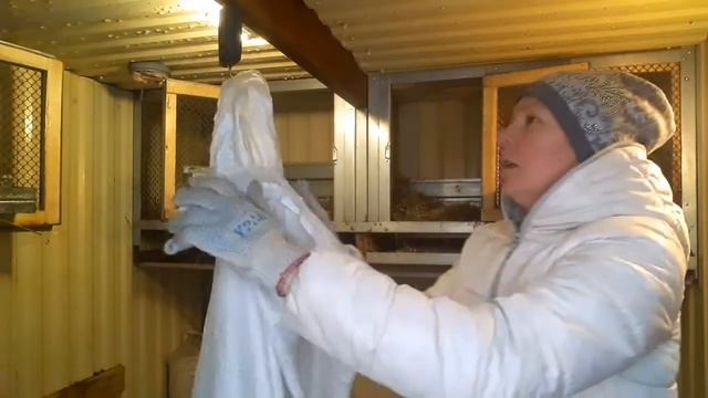 В КРОЛЬЧАТНИКЕ ЧИСТОТА. ВЗВЕШИВАНИЕ ФЛАНДРОВ. ЛЮБОФФФФФ И КРОЛИКИ ♥♥♥ смотреть онлайн