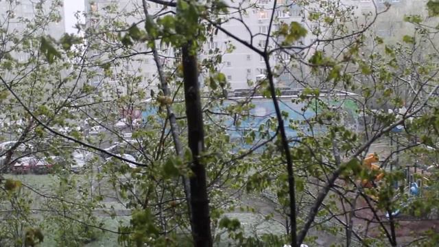 Москва, ярославское шоссе, 11.05.17 смотреть онлайн